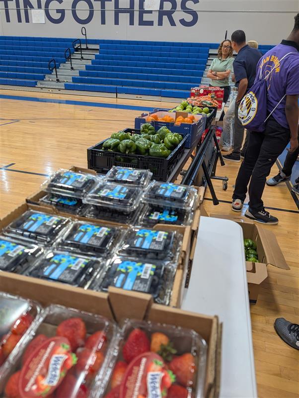 Fresh produce is displayed in a school gym during a Healthy Minds, Healthy Bodies nutrition event.